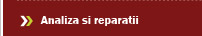 Reparatii directie