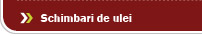 Schimbare de ulei